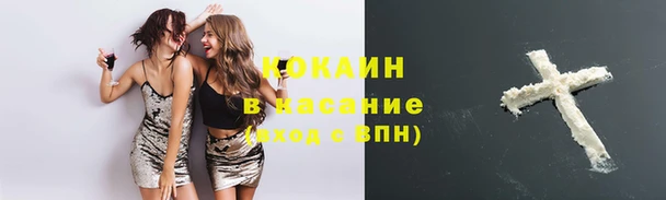 эйфоретик Беломорск