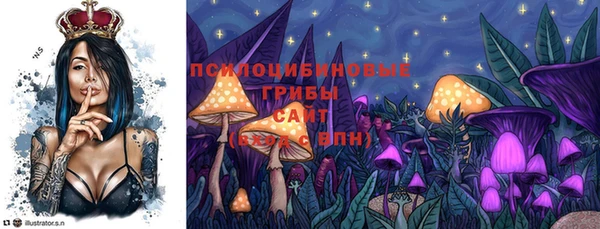 соль курить ск Пересвет