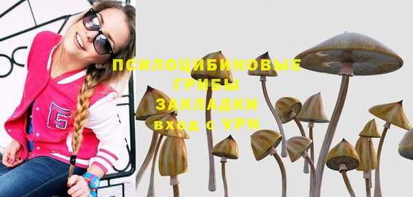 молекула духа Белоозёрский