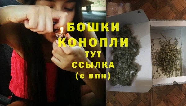 молекула духа Белоозёрский
