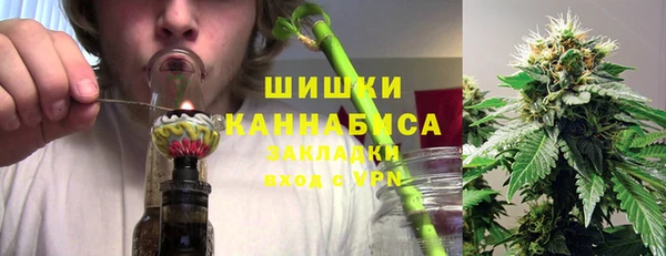 молекула духа Белоозёрский