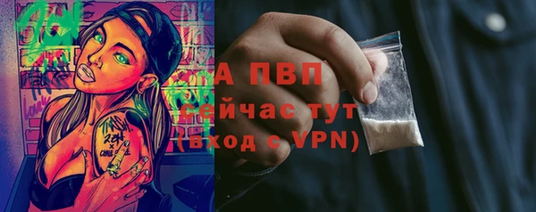 молекула духа Белоозёрский